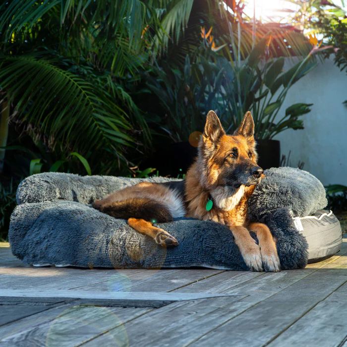 The Ultimate Comfort Solution for Your Pet: Why a 2 in 1 Dog Bed is a Smart Choice